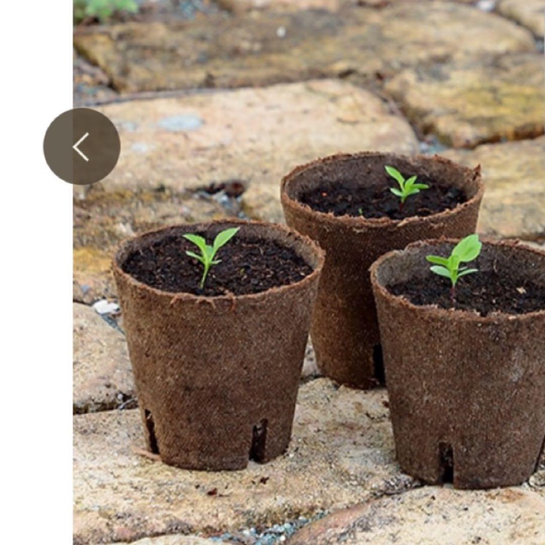 ジフィーポット丸型 8cm 約1400個入 スリット入り#130そのまま植えれる