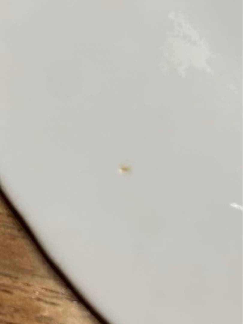 Aurora HARMONY HOUSE 日本製　50〜60s ヴィンテージ