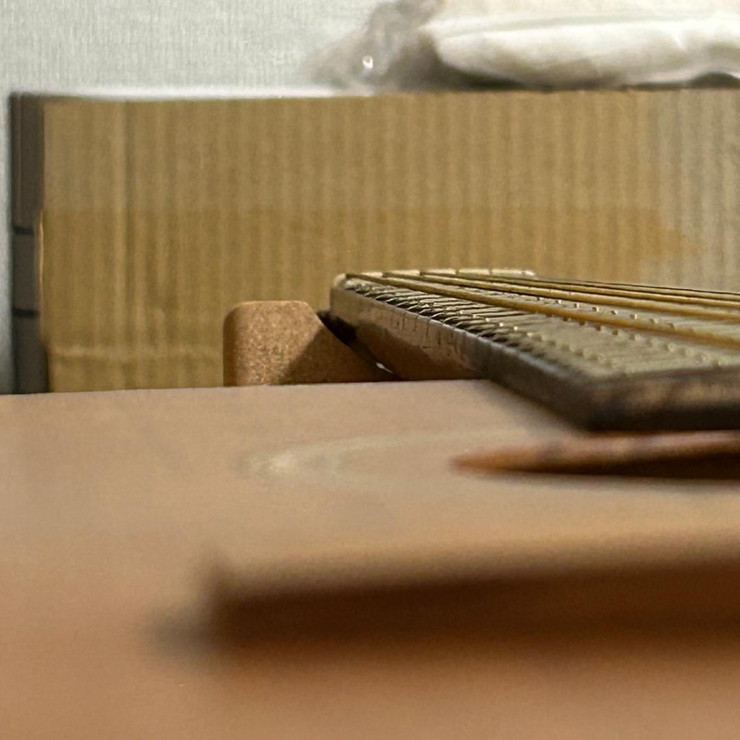 シーガル SEAGULL S6+FORK