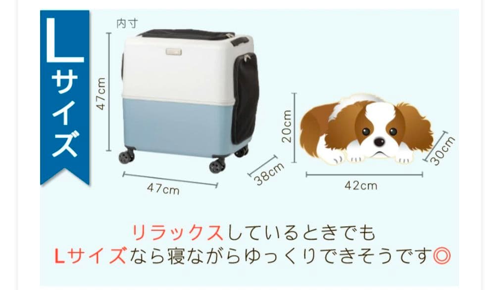 PETiCO　ICO ペットキャリー