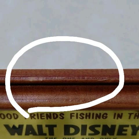 東京ディズニーランド ミッキー&ドナルド  ミラーアート フレーム入り