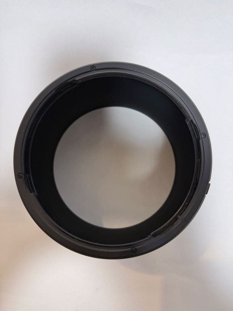 キヤノン RF200-800mm F6.3-9 IS USM 保護フィルター付