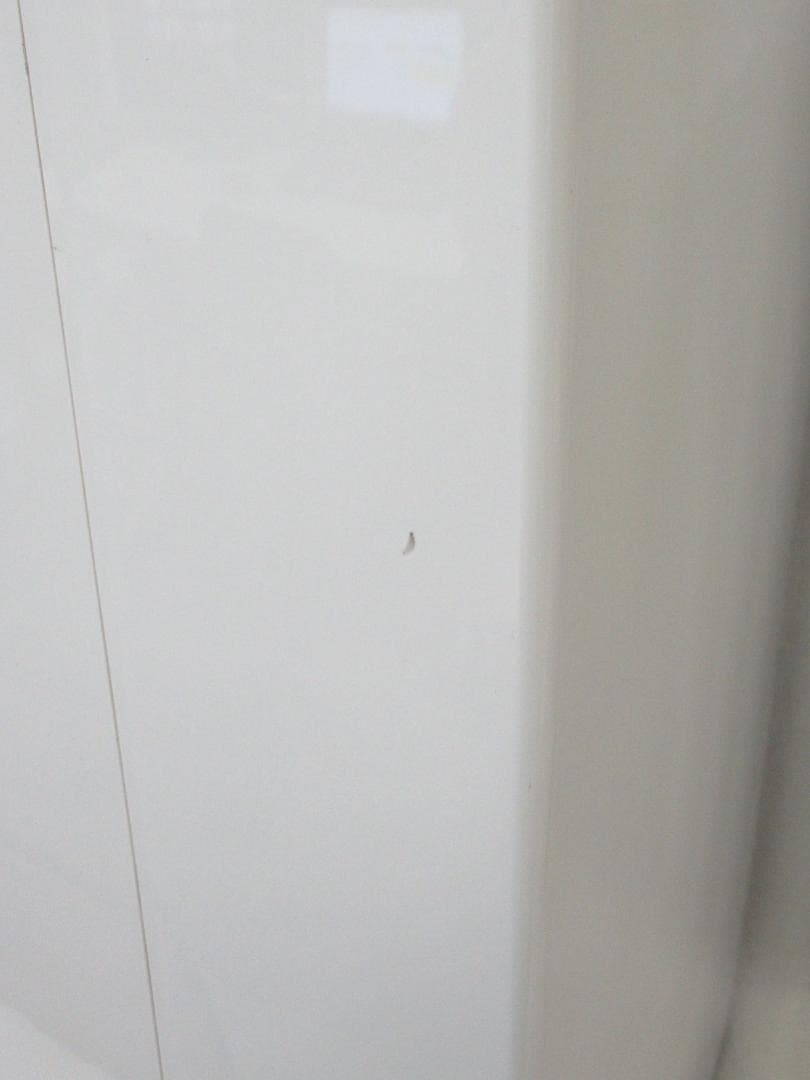 CORONA コロナ 衣類乾燥除湿器 CD-H1819 2019年製 動作品