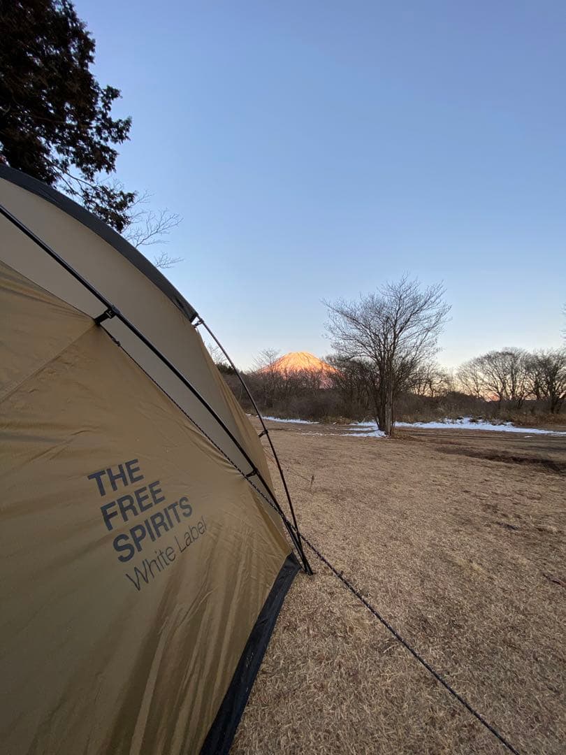 【激レア】／TFS SkyDome シルバーコーティング　ブラウン