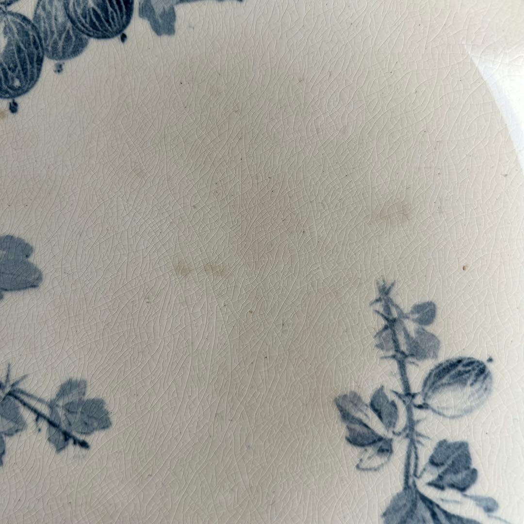 sarreguemines 高台　すぐりの実　グロゼイユ　コンポティエ　フランス