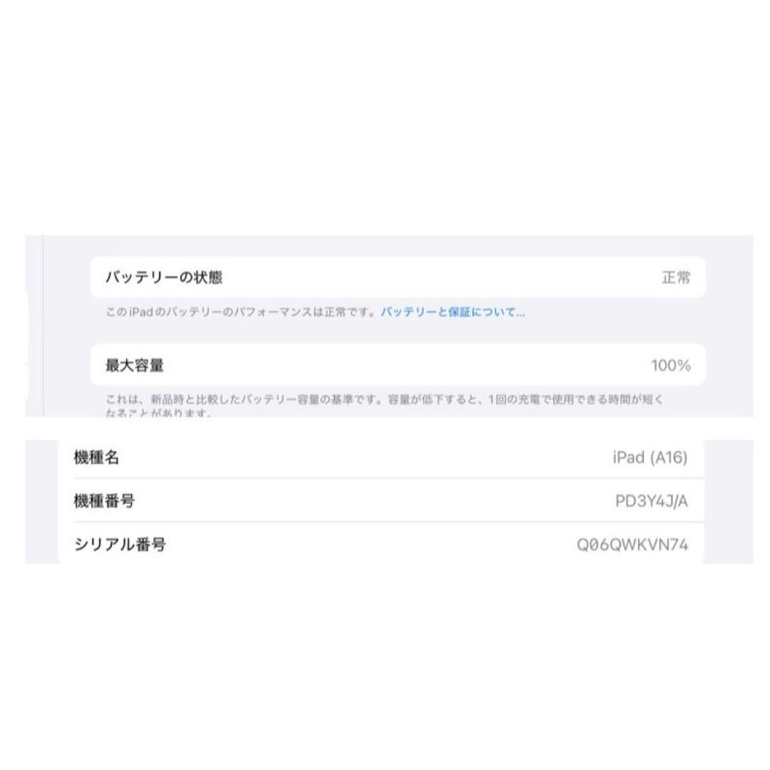 iPad本体 iPad (A16) Apple Pencil (USB-C)
