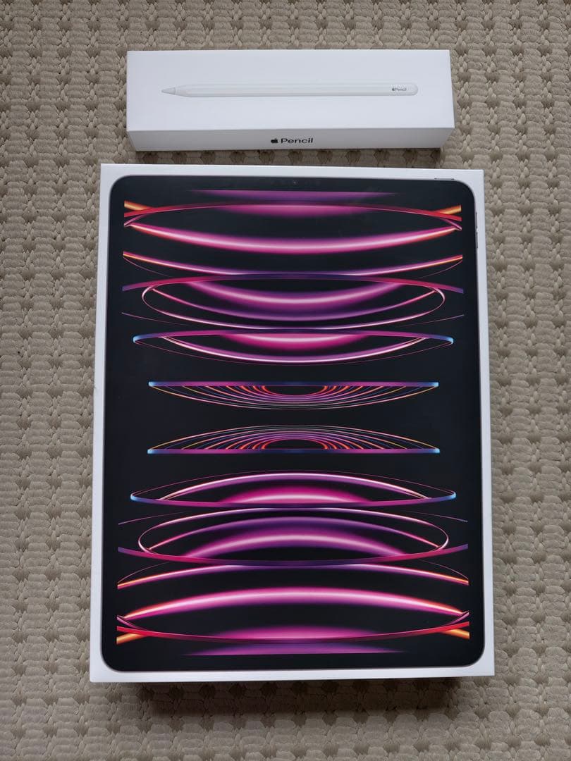 Apple iPad Pro 12.9インチ スペースグレイ　第6世代　本体