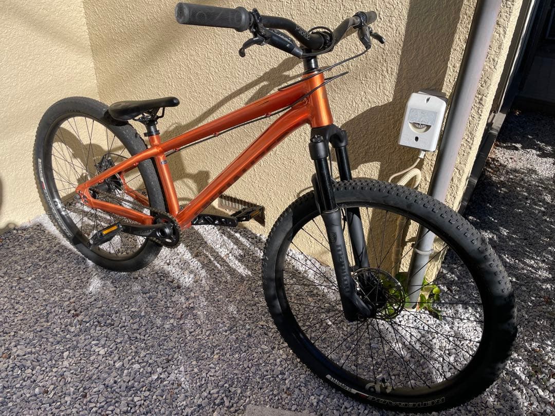 リー　送料無料 Specialized p.3 pro ダートジャンプ