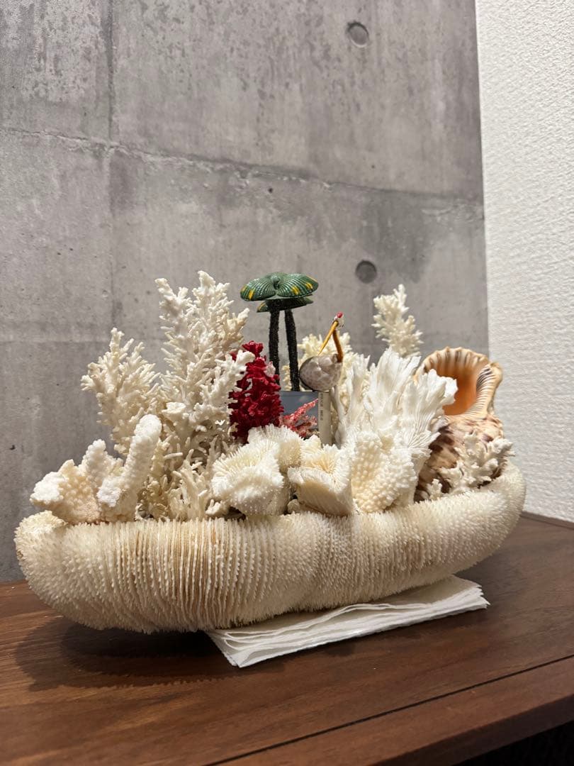 白珊瑚天然　オブジェ　アクアリウム　インテリア　デコレーション サンゴ