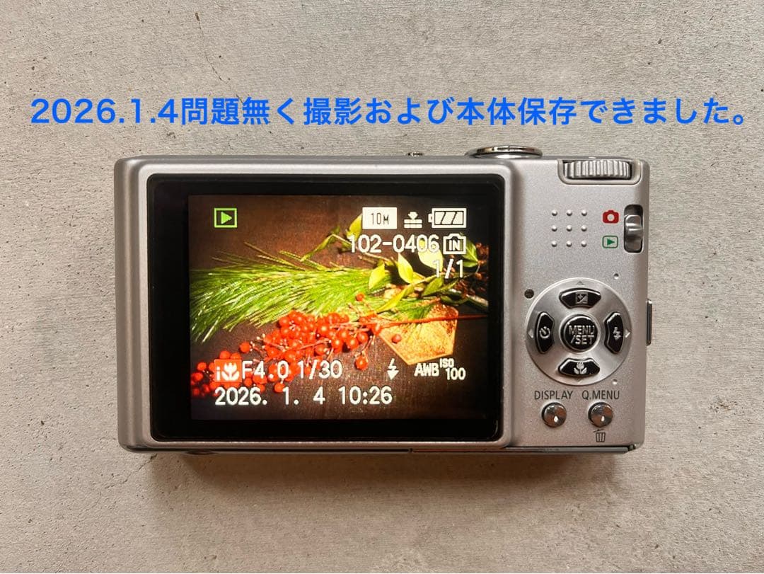 LUMIX DMC-FX37 シルバー