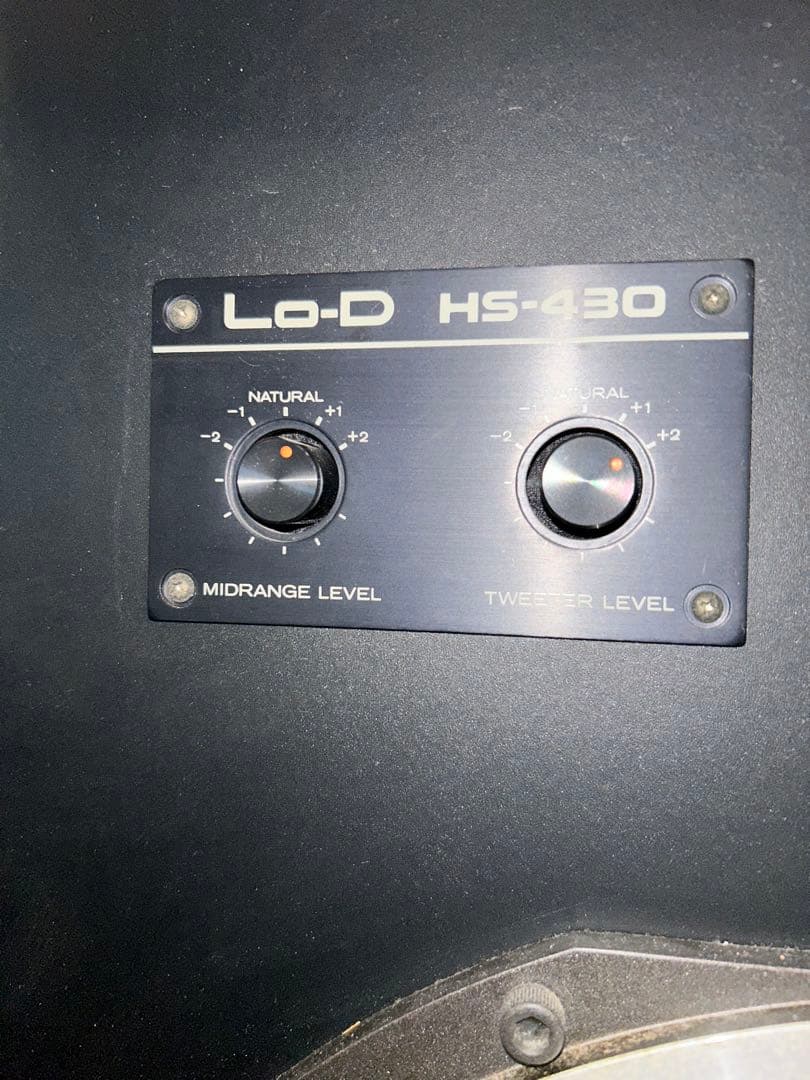 Lo-D HS430フロア型スピーカー