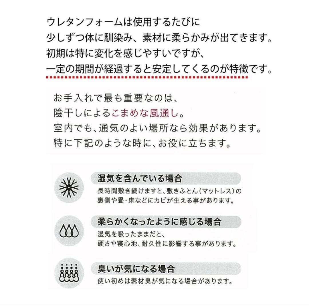 西川エアーポータブル クッション Lサイズ