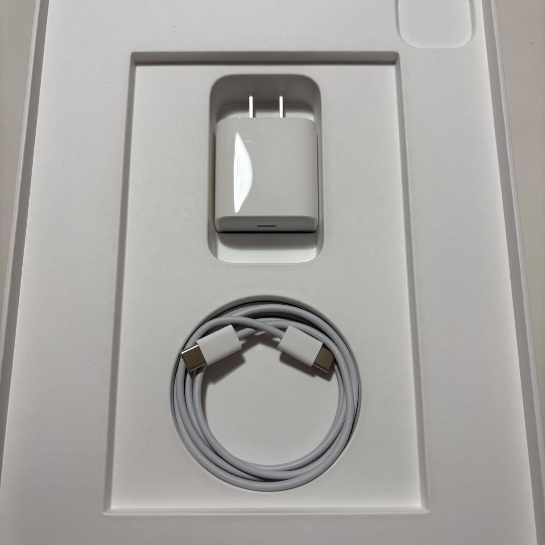 iPad Pro 11インチ 本体 Apple Pencil 充電器付き