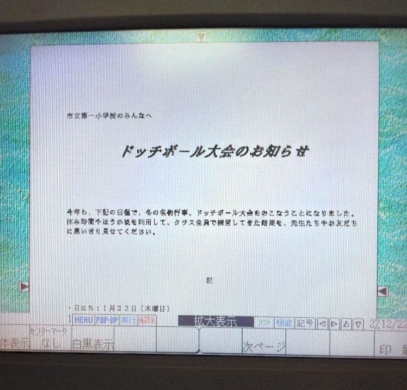 カシオカラーワ－プロDarwinCX-6000