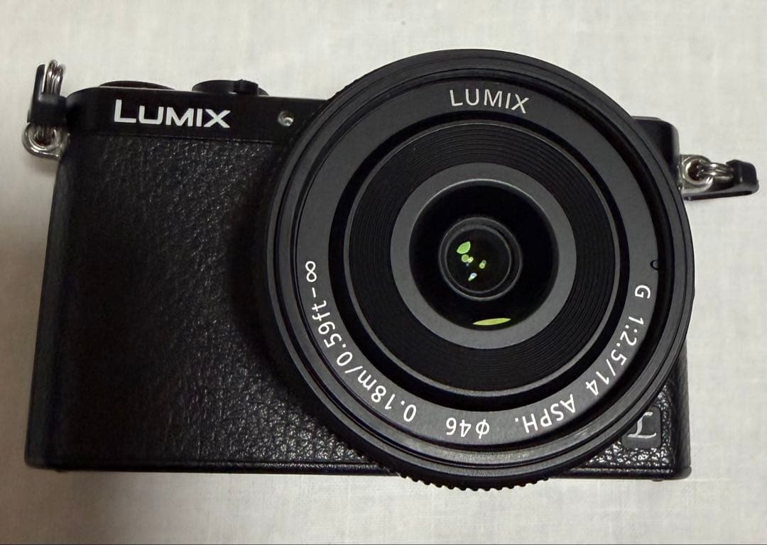 Panasonic LUMIX DMC-GM1K ブラック [中古美品]