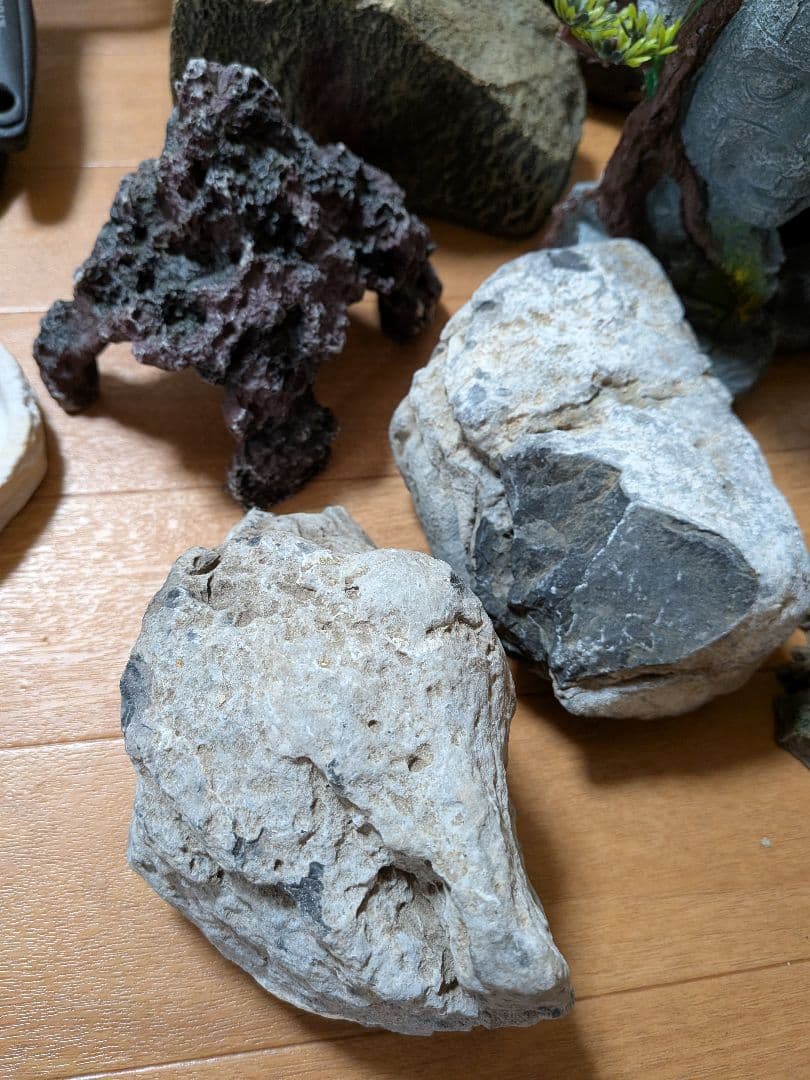 爬虫類　飼育セット