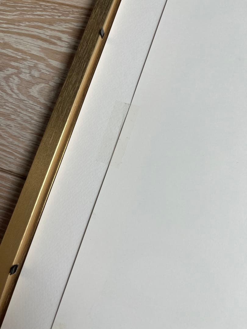 花井祐介　　東山動植物園　アートプリント　額入り