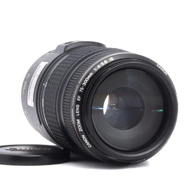 ★超望遠★Canon EF 75-300mm IS USM★美品★フルサイズでも