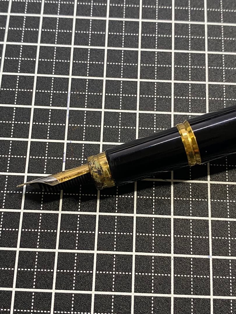 WATERMAN LE・MAN 100 万年筆　字幅F程度