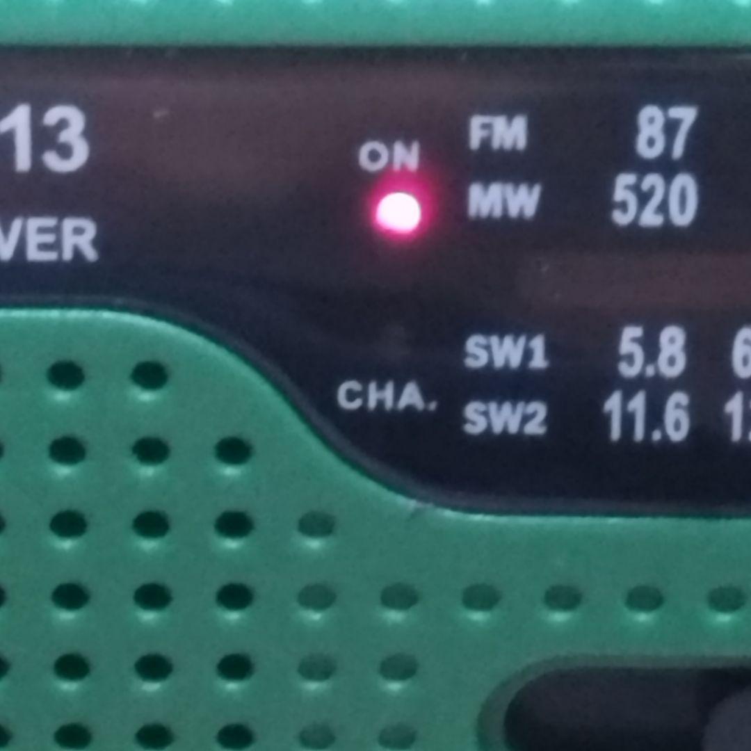 DEGEN　DE-1103（DSP）・DE13（未使用に近い）２セット