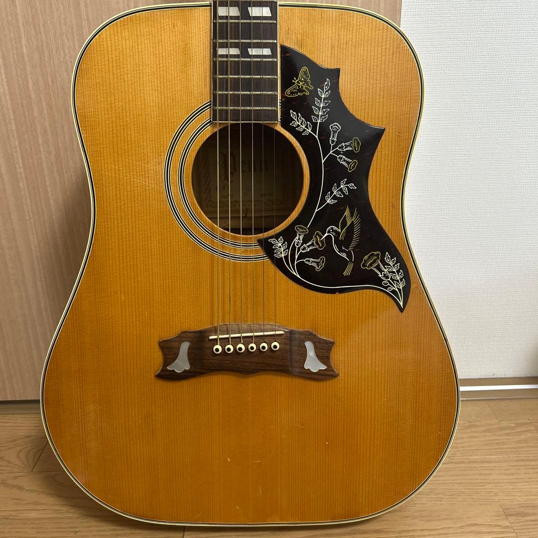 【レア品】pro martin w-35 アコースティックギター　ピックガード付
