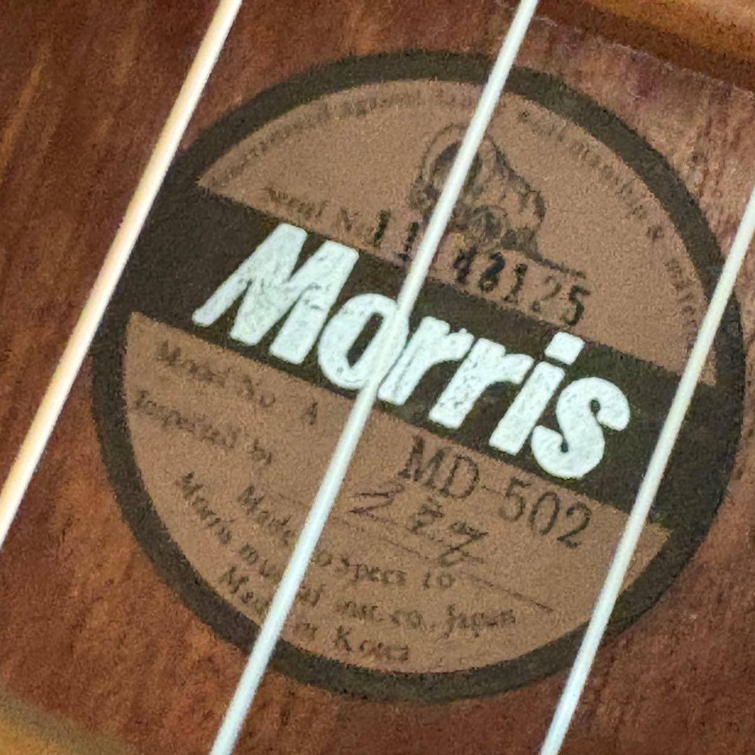 【美品✨】Morris MD-502 モーリス　アコースティックギター