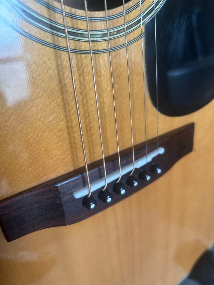 トップ単板　ゴトーペグ　2001年　寺田楽器製　BeeBird 調整済み　アコギ