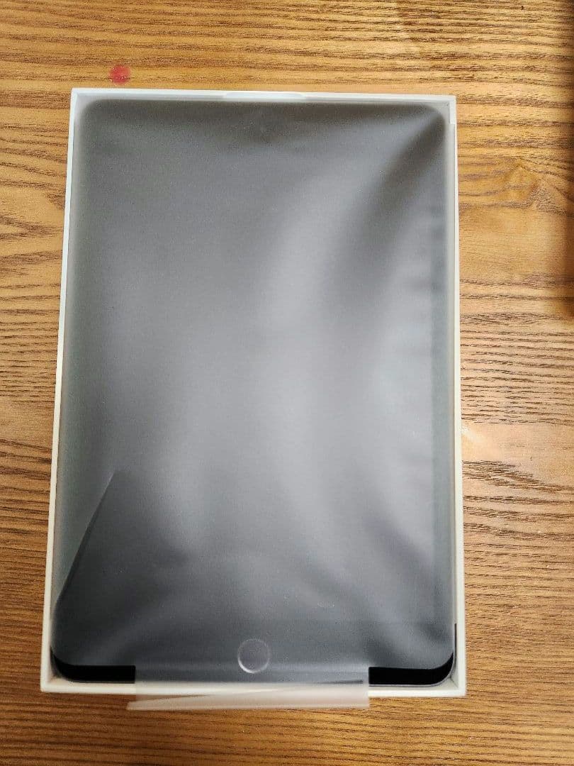 iPad mini 第5世代　本体　ジャンク品