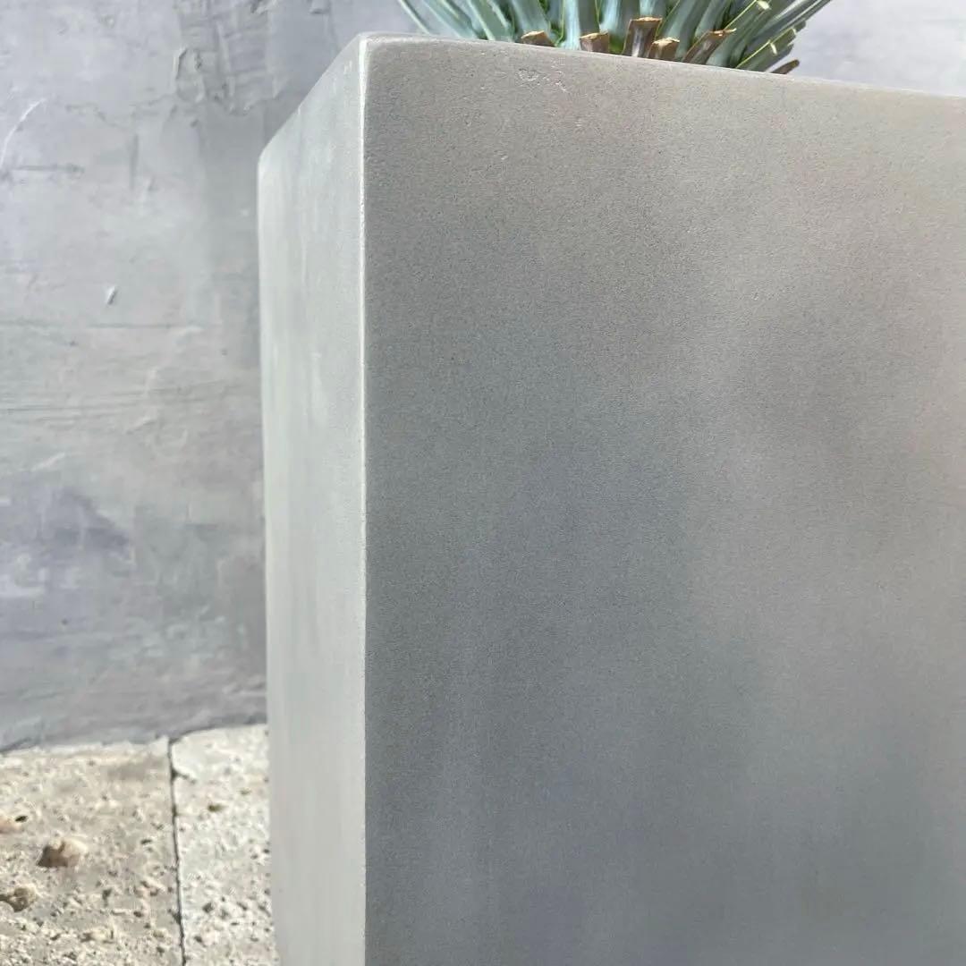 ユッカ ロストラータ　選抜品種　【サファイアスカイズ】陶器鉢　植え込み発送