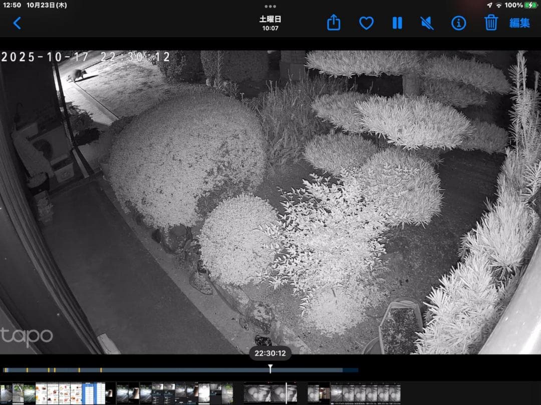 TP-Link tapo 屋外カメラ WiFi ネットワークカメラ 無線/有線m