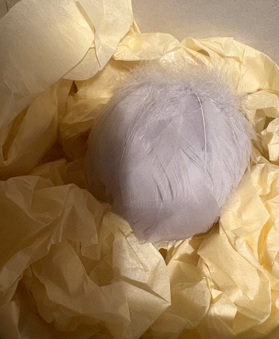 camellia 様 ruban ウィッグ iMda3.0 人形 ドール 羽根