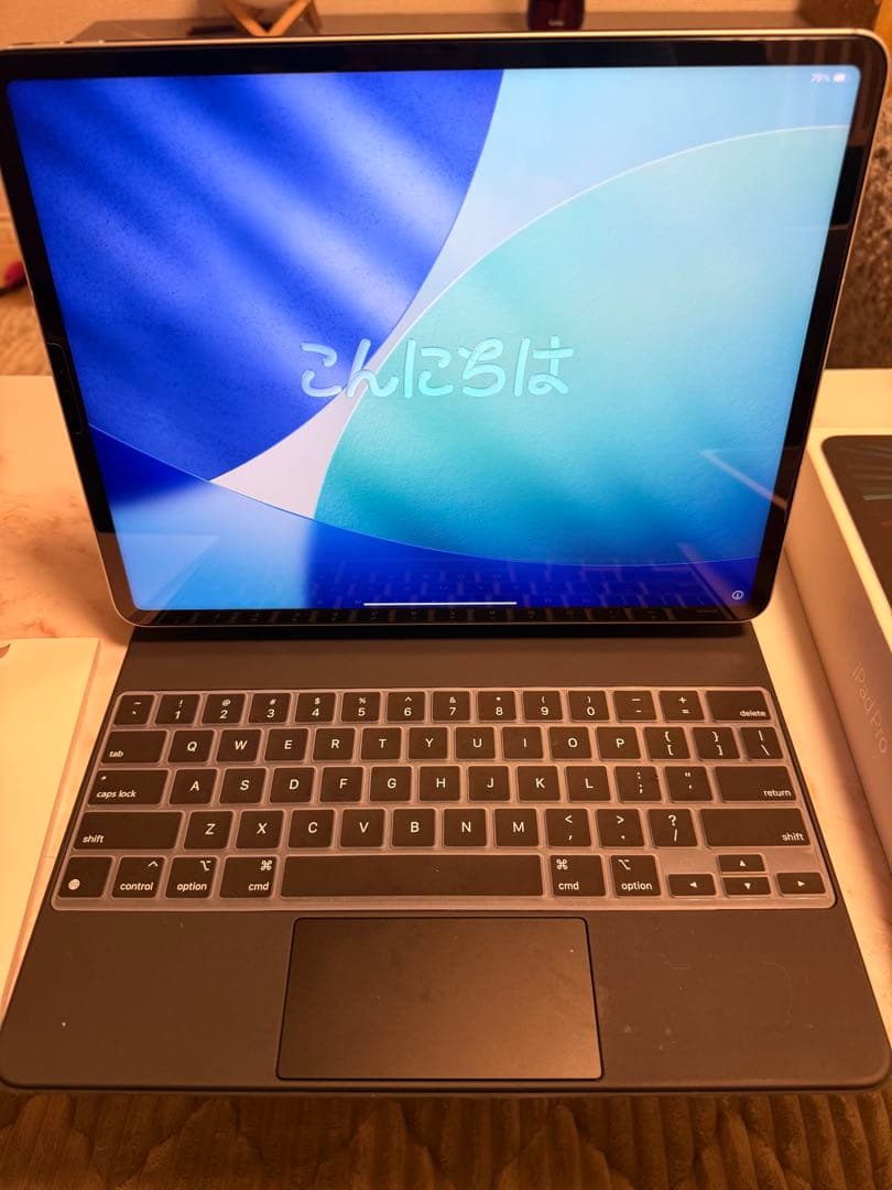 Apple iPad Pro 12.9 第5世代 セルラー128g M1