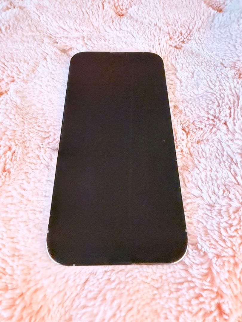 Apple iPhone 13 Pro シルバー 本体　512GB