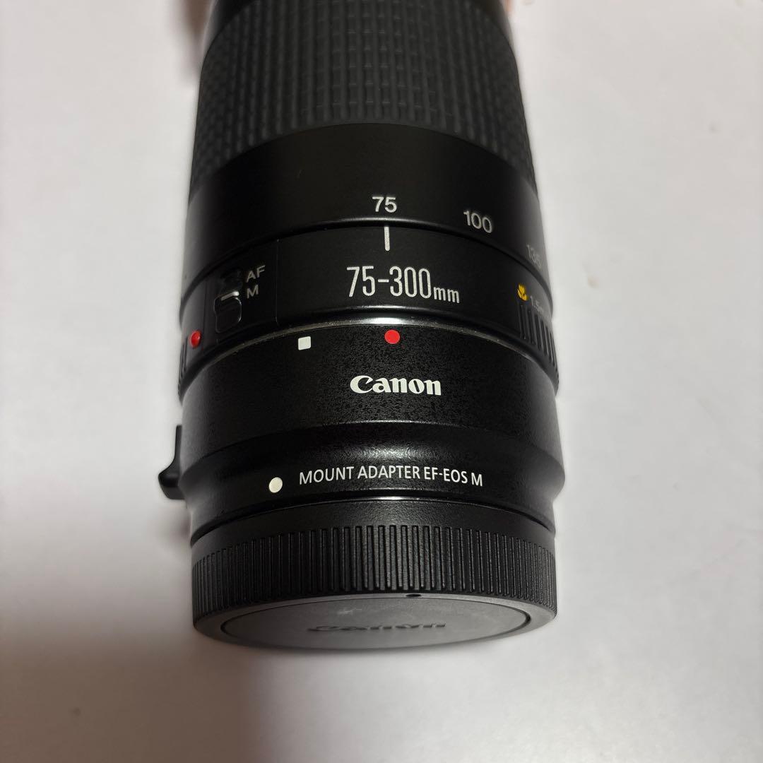 Canon EF 75-300mm ズームレンズ