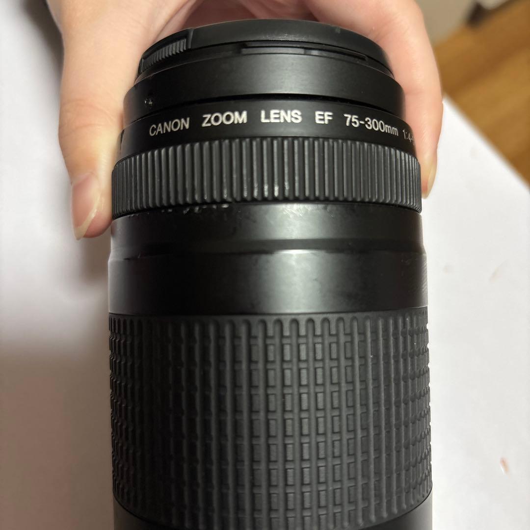 Canon EF 75-300mm ズームレンズ