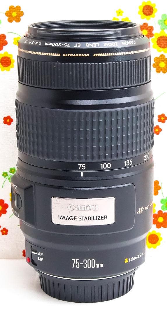美品 Canon EF 75-300mm IS USM☆望遠レンズ☆フィルター付