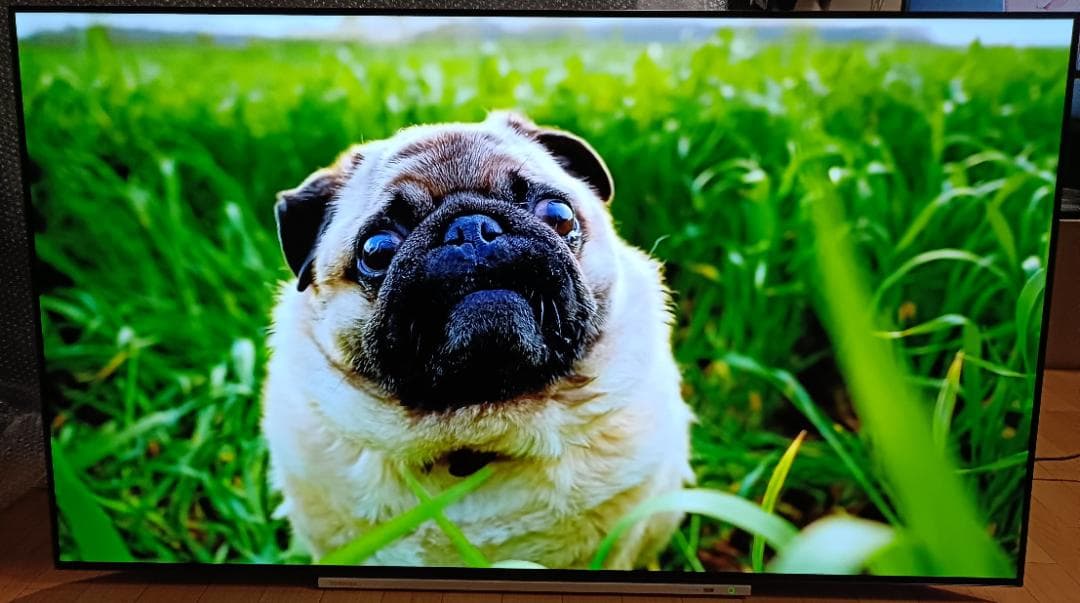 値下げ‼️19年製東芝REGZA 55V型55X920 4K有機EL