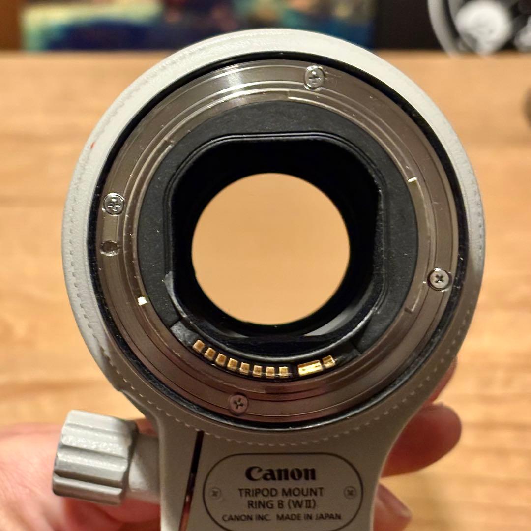 Canon EF70-200mm F2.8 L IS Ⅲ USM