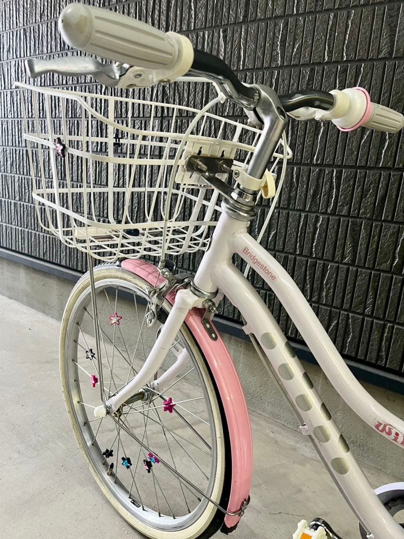 ブリヂストンサイクル　ジュニア向け自転車「ワイルドベリー」　20インチ