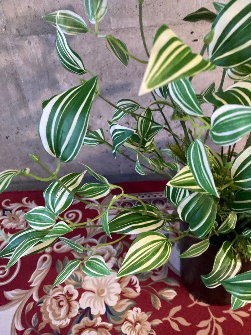 光触媒　人工観葉植物　ウォールグリーン　フェイクグリーン　pシーグレープトラカン