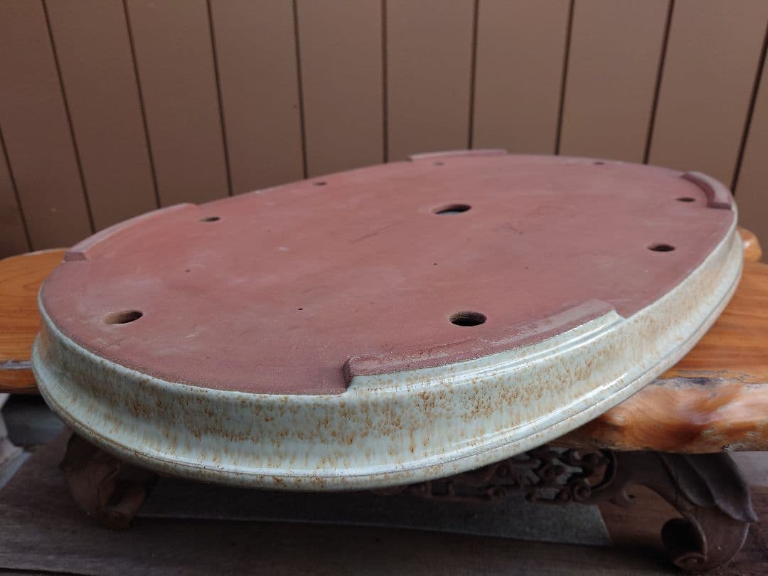 盆栽　鉢　緑巳斉春松　幅77cm