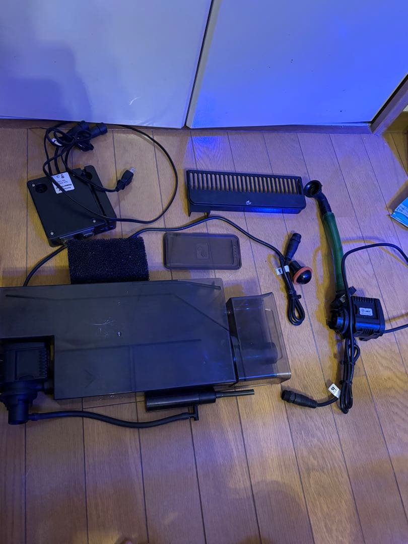 レッドシー　MAXシリーズ　ペニシュラン　大阪から