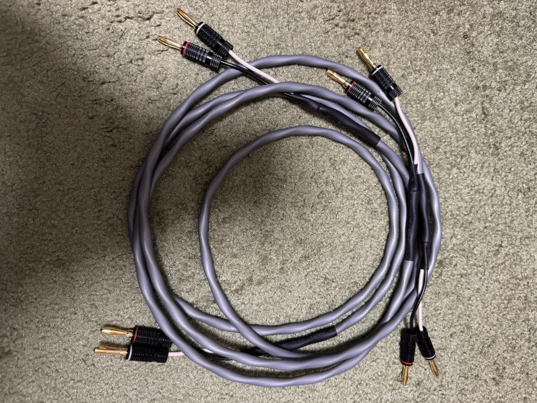 美品 SONY コンパクトオーディオシステム CAS-1