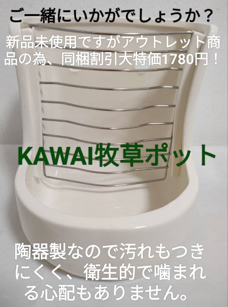 【専用】チンチラセレクションプロ600g ×10袋デグーセレクションプロ10袋