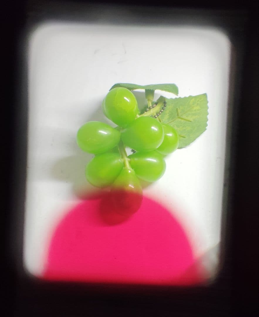 OLYMPUS PEN EED（動作品）