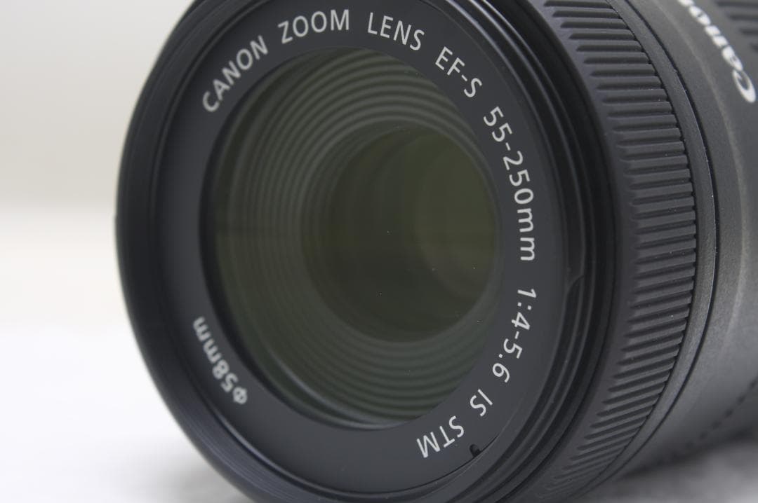 キヤノン EF-S 55-250mm F4-5.6 IS STM 3731