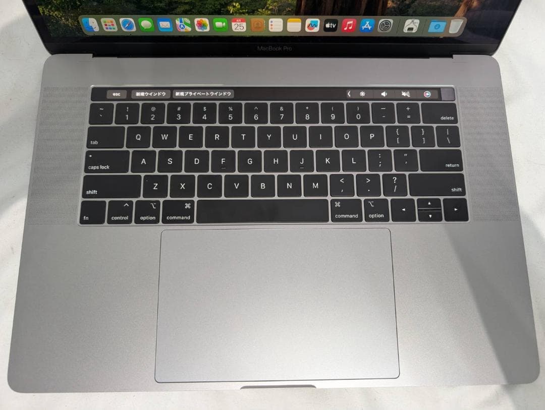 MacBook Pro SSD1TB メモリ16GB