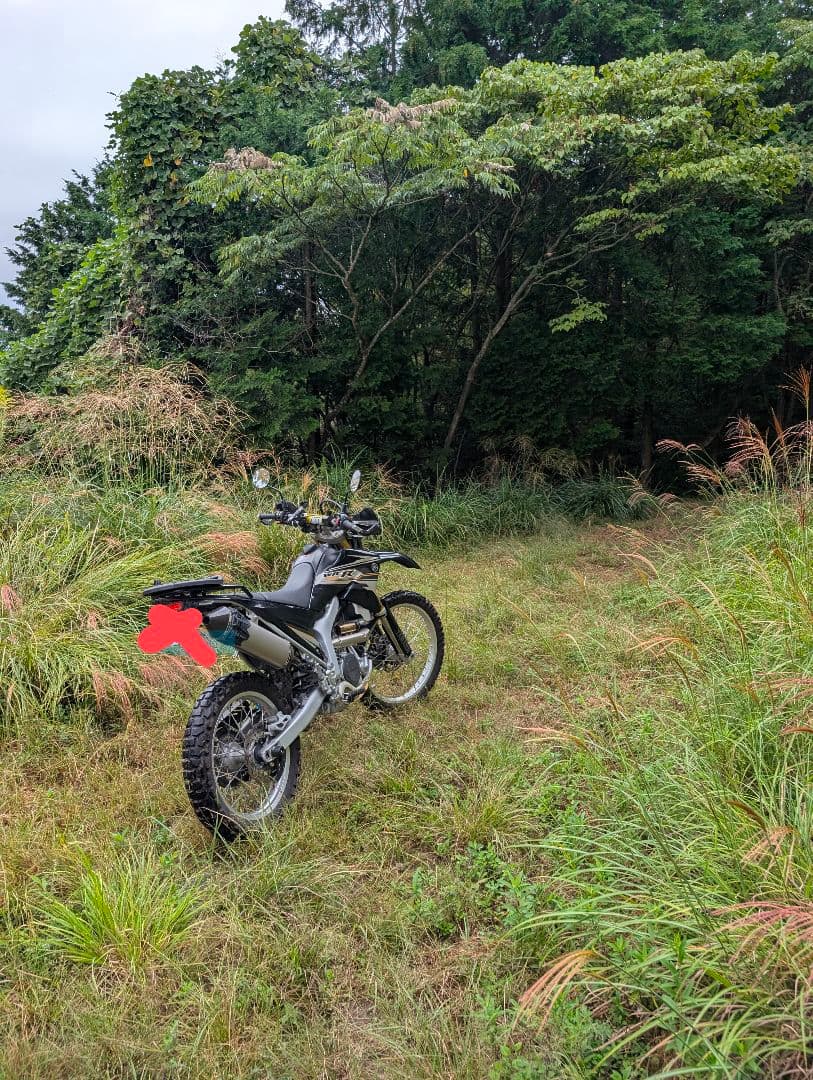 WR250R マフラー　プラナス