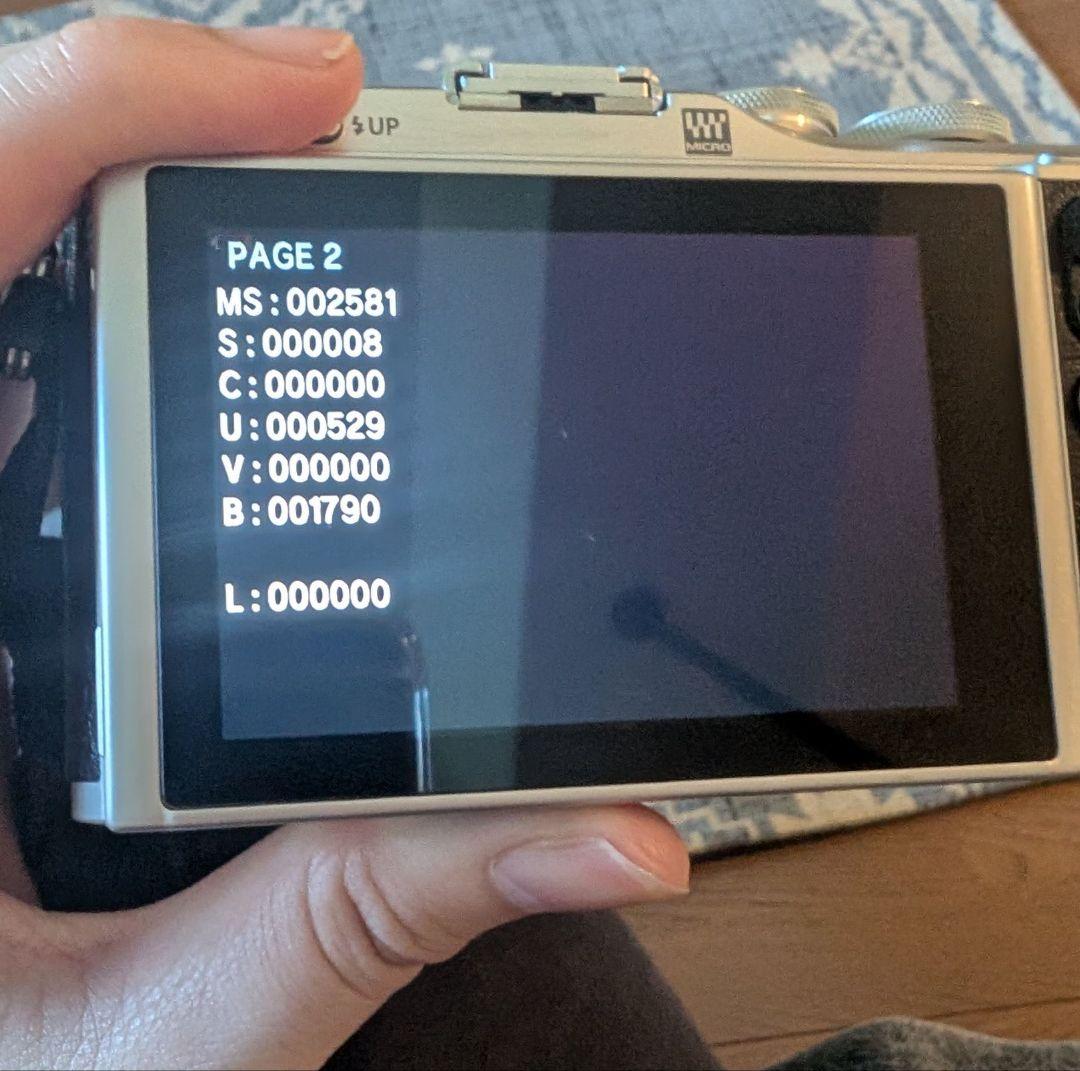 ミラーレス一眼OLYMPUS PEN E‐PL9　ブラック（本体＋箱＋備品など）