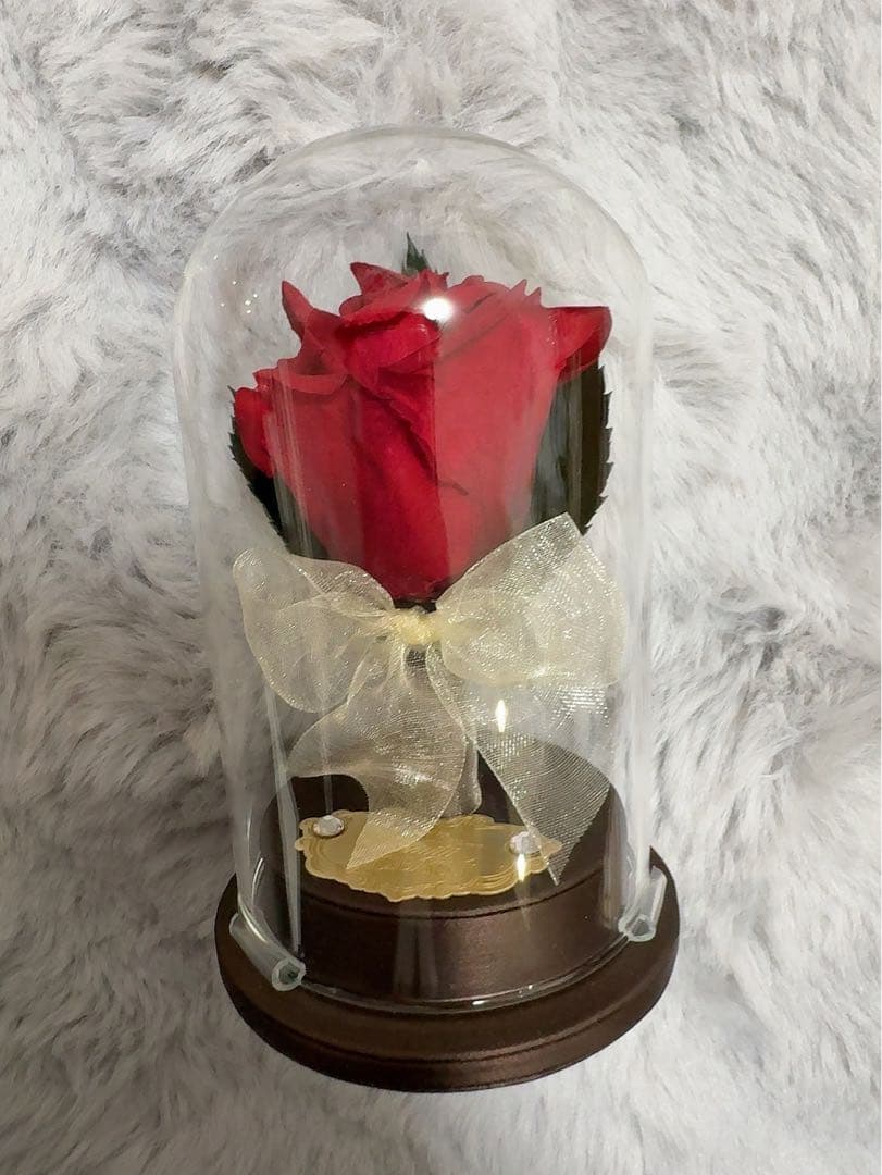 ディズニー婚約指輪美女と野獣 一心堂999本限定 オルゴール付きショッパーセール